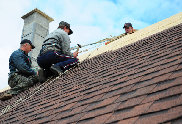 Best Residential Roof Replacement  in Borger, TX