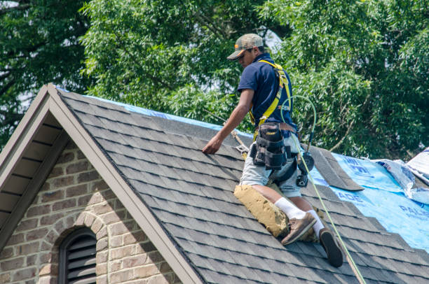 Best Residential Roofing Contractor  in Borger, TX